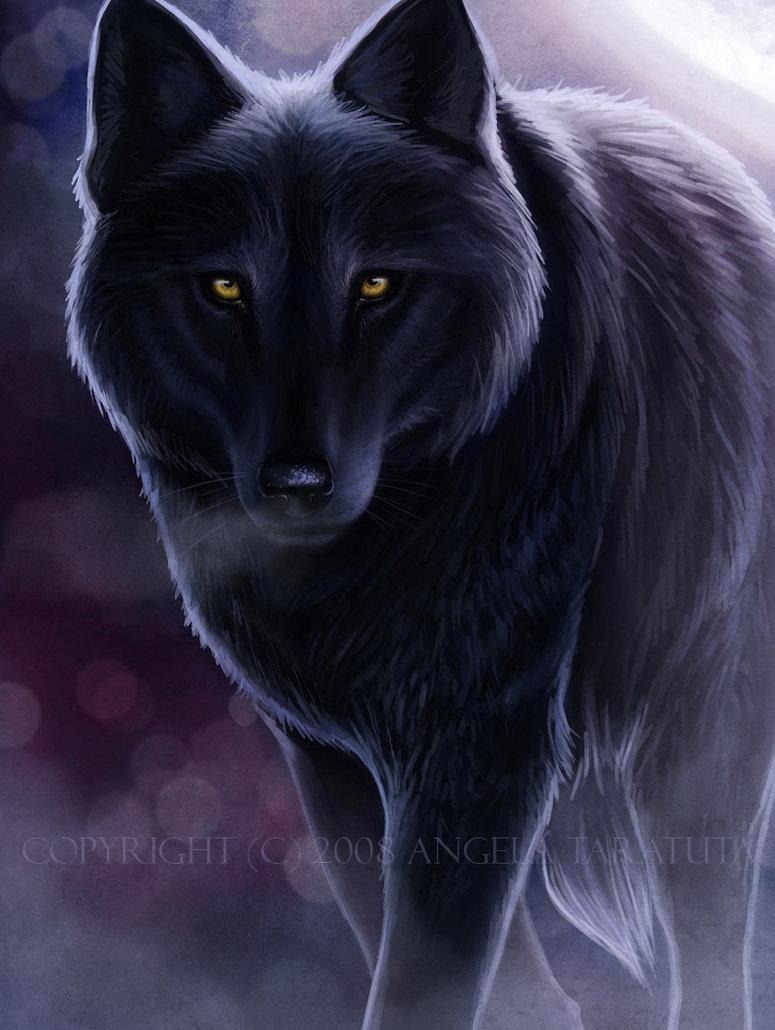 Dark_Wolf_commission_by_Angela_T